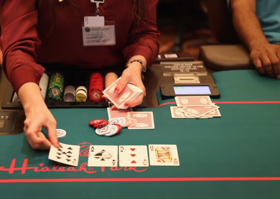 Exciting Career Opportunities at Meilin International Casino!